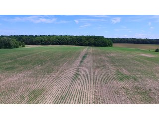 Property photo 11 - REAL ESTATE AUCTION - 26.61+/- ACRES IN NOBLE COUNTY, INDIANA